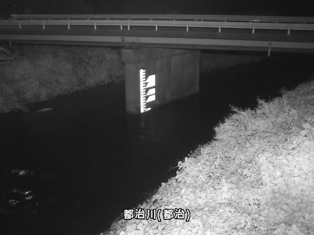 都治水位観測局付近 (都治町)