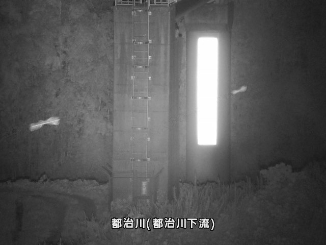 都治水位観測局付近 (都治町)