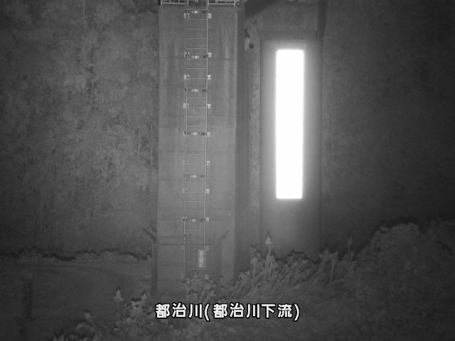 都治水位観測局付近 (都治町)