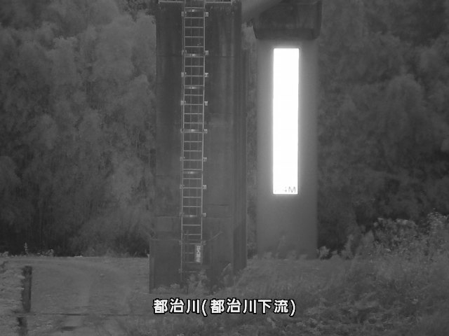 都治水位観測局付近 (都治町)