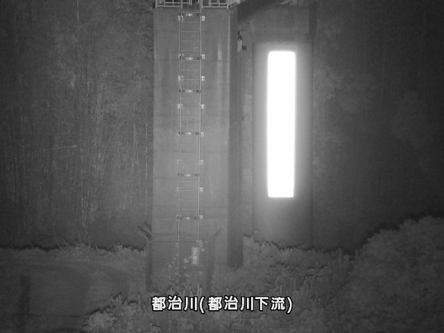 都治水位観測局付近 (都治町)