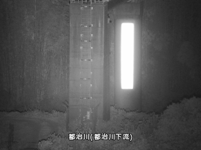 都治水位観測局付近 (都治町)