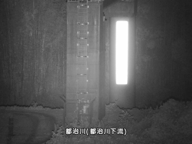 都治水位観測局付近 (都治町)