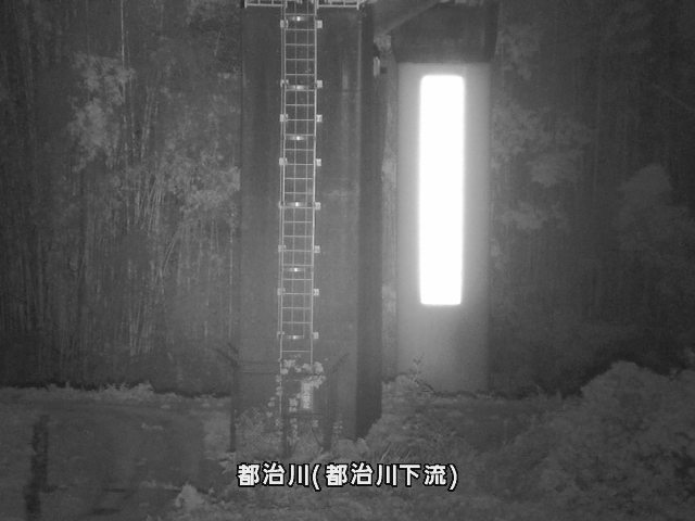 都治水位観測局付近 (都治町)