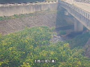 府中橋のカメラ画像