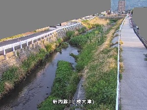 枝大津のカメラ画像